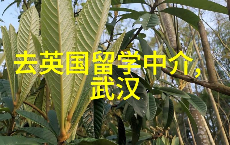 研究生澳洲留学申请流程是怎样的