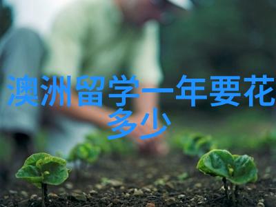 工料测量师替代会计的便捷移民专业