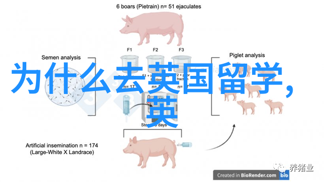 解读英国TESOL硕士专业及优势院校